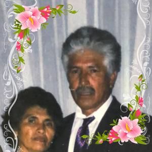 Meet your Posher, Fanny